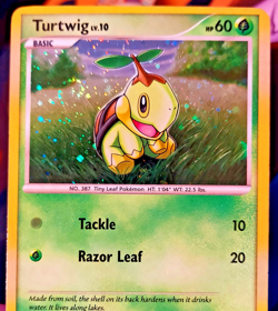 Pokemon TCG Turtwig DP Black Star Promotional DP01 Holo Promo MP Nice SWIRL - Image 2