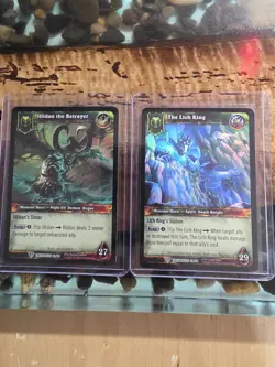 World of Warcraft Lich King & Illidan the Betrayer Hero Card Foil WoW 23/30 - Image 1