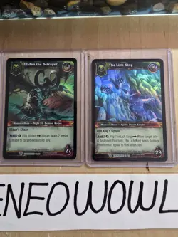 World of Warcraft Lich King & Illidan the Betrayer Hero Card Foil WoW 23/30 - Image 3