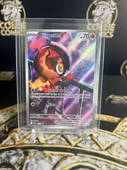 Pokemon TCG Bundle - ETB Promo Card bundle X 4 Riolu Charcadet No’s Zekrom - Image 2