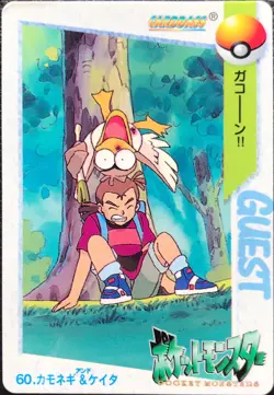 Farfetch'd pokemon card game japan carddass Anime Collection BANDAI F/S - Image 1