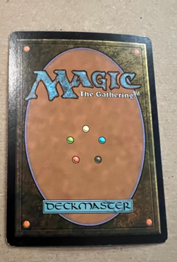 Foil - Heartwood Storyteller - Future Sight - MTG - Magic the Gathering - Foil - Image 3