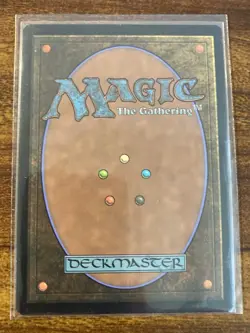 MTG✨WINDS OF ABANDON Full Art BLACK & WHITE 🌈 FOIL✨SLD Twisted Toons MINT BONUS - Image 2