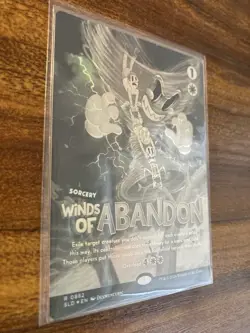MTG✨WINDS OF ABANDON Full Art BLACK & WHITE 🌈 FOIL✨SLD Twisted Toons MINT BONUS - Image 3