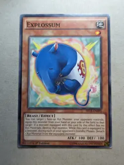 Explossum - SECE-EN094 - Common - Yugioh - Yu-Gi-Oh - Image 1