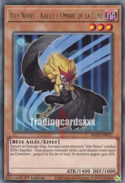 Yu-Gi-Oh! Aile Noire - Kalut l'Ombre de la Lune : R MAZE-FR037 - Image 1
