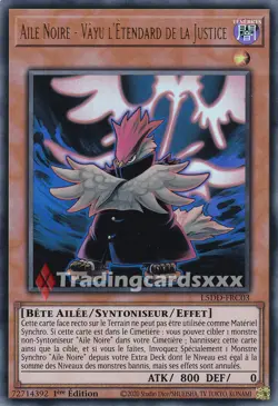 Yu-Gi-Oh! Aile Noire - Vayu l'Etendard de la Justice : UR L5DD-FRC03 - Image 1