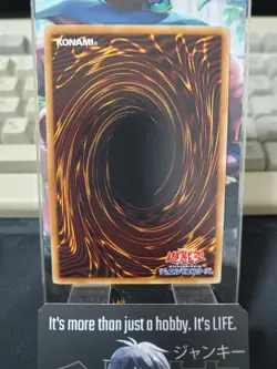 Magician's Combination DP23-JP005 Rare Yu-Gi-Oh Yugioh OCG UNCENSORED JAPAN - Image 3