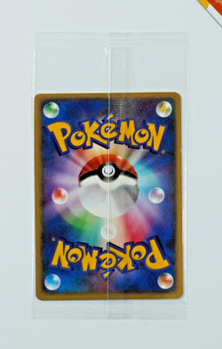 Pokemon Pokepark's Torchic Grand Opening Promo Japanese #047/PCG-P Sealed - Image 2