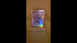 David Choe Choeymon Munkomon card #89 Rainbow Holo Umbreon 2nd drop (888 packs) - Image 2