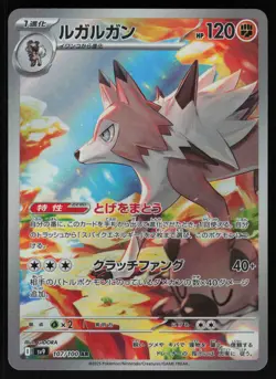 Lycanroc 107/100 - Pokemon Japanese Battle Partners - Art Rare (NM) - Image 1
