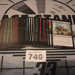 Magic The Gathering Bloomburrow Pauper Bundle. MTG BLB Lot (749) - Image 1