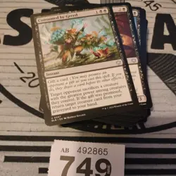 Magic The Gathering Bloomburrow Pauper Bundle. MTG BLB Lot (749) - Image 2