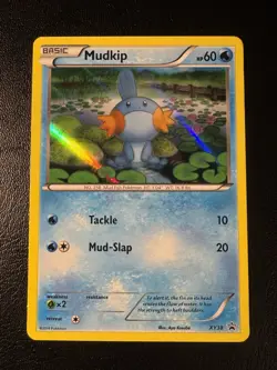 Mudkip XY38 Promo XY Black Star Promos Pokemon Holo MP - Image 1