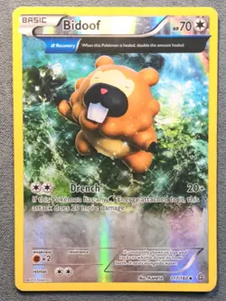 Pokemon English - Primal Clash - Bidoof 117/160 - MP - Image 1
