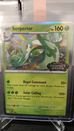 Serperior 64 Build and Battle Promo Pokemon Mega Evolutions Perfect Order - Image 1