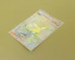David Choe Choeymon Munkomon card #16 Texture Holo Pikachu, drop #2 (888 packs) - Image 5