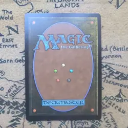 Mikey & Leo, Chaos & Order (Borderless) #200 (Foil) (NM) TMT Magic MTG - Image 2