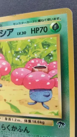 Vileplum Pokemon Card Japanese Nintendo Game Rare No. 045 Southern Islands Promo - Image 5