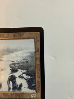 Magic: The Gathering - MTG - Polluted Delta - Onslaught - Rare - English - NM - Image 4