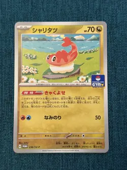 Tatsugiri 236/SV-P Japanese Gym Promo Card. Pokemon TCG - Image 1