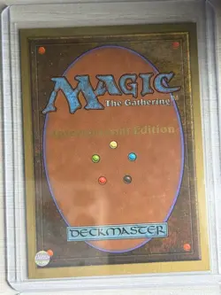 MTG International Collector's Edition - Castle - Never Played - Mint - Image 2