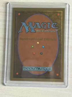 MTG International Collector's Edition - Consecrate Land - Never Played - Mint - Image 2