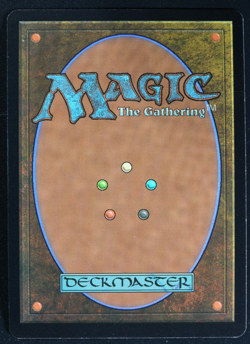 Scalding Tarn Foil Zendikar Expedition MTG Card Magic the Gathering - Image 2