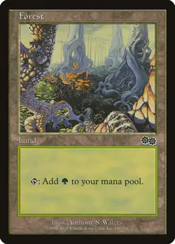 MTG Forest (349) ** Urza's Saga ** English (LP) - Image 1