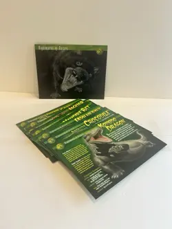 Weird N Wild Creatures Trading Card Set- Over 450 Cards & Box - Image 3