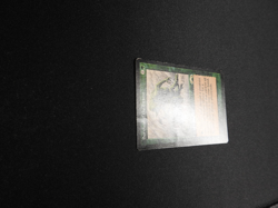 Survival of the Fittest HP/DMG [Exodus] Mtg Magic Free Tracking! - Image 3