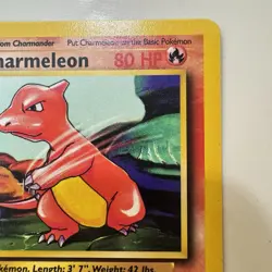 Charmeleon - 24/102 - Base Set - Unlimited - Pokemon Card - Vintage - Near Mint - Image 4