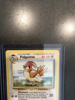 Vintage Pokemon Pidgeotto 22/102 Base Set Non-holo Rare WotC 1999 - MP - Image 2