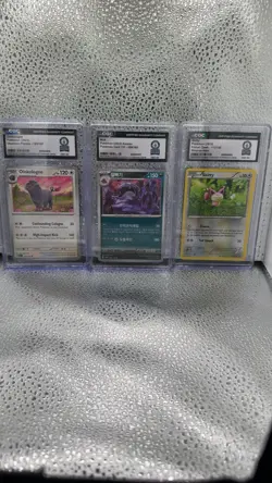 CGC World Record Slab Bundle - Oinkologne, Muk & Skitty. Three card lot - Image 1
