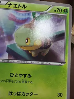 HP Turtwig 001/070 Plasma Gale Pokemon Japanese - Image 2