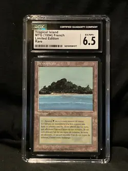 Tropical Island FBB Dual Land Revised French EX/NM+ CGC 1017 Grade 6.5 Magic MTG - Image 1