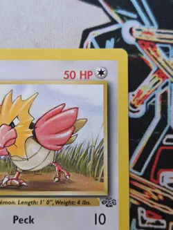 Pokemon TCG Spearow 1st Edition 62/64 Jungle Unlimited 1999 WoTC Vintage - Image 4