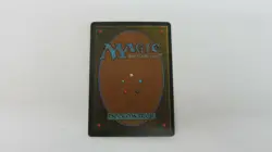 DIDGERIDOO HOMELANDS RESERVED LIST MTG MAGIC THE GATHERING NM / UNPLAYED #3 - Image 3