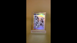 David Choe Choeymon Munkomon card #42 Holo Blastoise, printed signature, drop #2 - Image 2