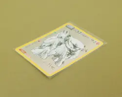 David Choe Choeymon Munkomon card #42 Holo Blastoise, printed signature, drop #2 - Image 5