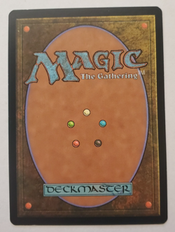 1x Painter's Servant Shadowmoor MTG Magic the Gathering LP/NM - Image 2