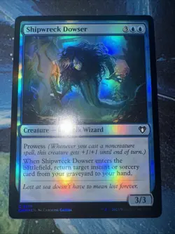 Shipwreck Dowser Commander Masters Foil - Image 1