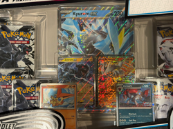 Pokemon TCG Unova Heavy Hitters Premium Collection (Sealed – Costco Exclusive) - Image 3
