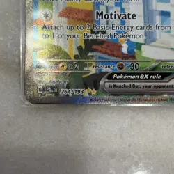 Pokemon Squawkabilly ex 264/193 Sv02: Paldea Evolved Illustration Rare Holo - Image 5