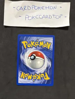 Pokemon Card Dark Ursaring 21/105 1ST-Neo Destiny-ita-No Holo-Mint! - Image 4