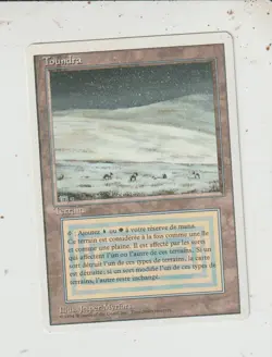 x1 carte Toundra Foreign White Bordered MAGIC MTG FRENCH 1995 EX-NM - Image 1