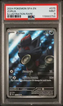 2024 Pokemon SFA EN Zorua ILLUSTRATION RARE FULL ART 075/064 PSA 9 MINT - Image 1