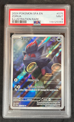 2024 Pokemon Shrouded Fable Zorua 075/064 Illustration Rare Graded PSA 9 AA - Image 1