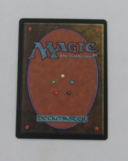 MAGIC THE GATHERING 5th EDITION BRUSHLAND NM ENGLISH MTG - Image 2