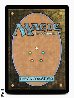 Michelangelo, Mutant BFF (BORDERLESS FOIL) - [Teenage Mutant Ninja Turtles] MTG - Image 2